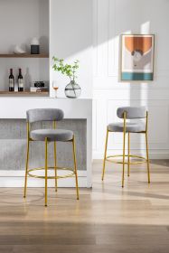 COOLMORE Bar Stools Industrial Pub Barstools with Back and Footrest, Modern Armless Bar Height Stool Chairs Set of 2 (Color: Dark Gray)